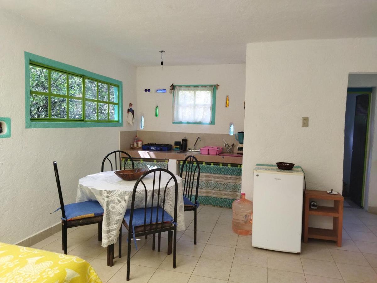 Casa Ecologica Apartman Tepoztlán Kültér fotó