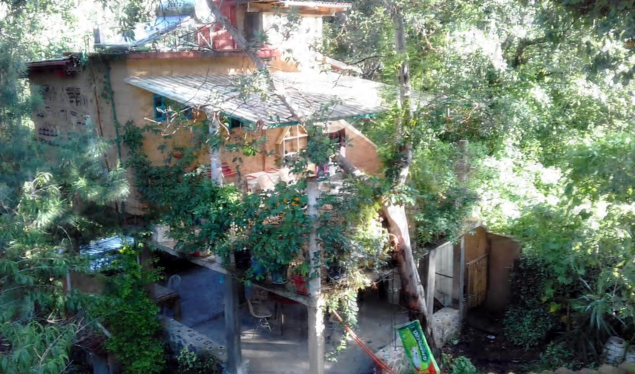 Casa Ecologica Apartman Tepoztlán Kültér fotó