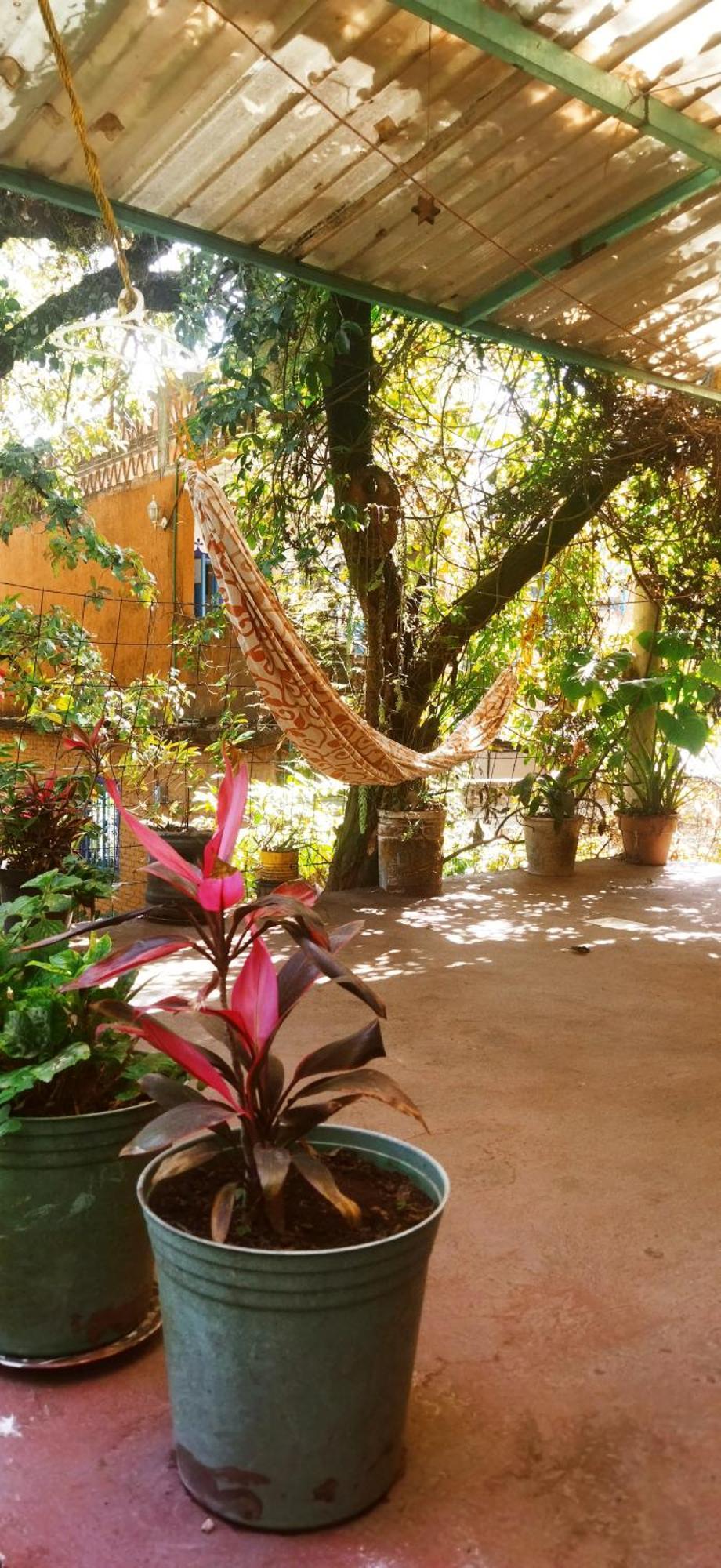Casa Ecologica Apartman Tepoztlán Kültér fotó