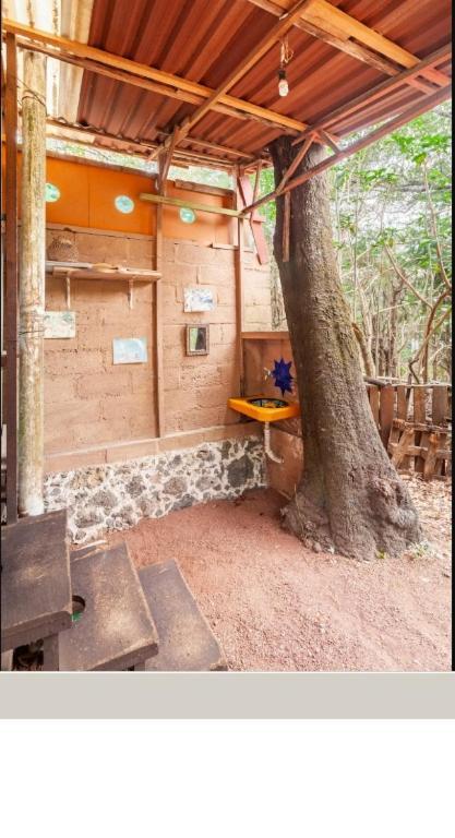 Casa Ecologica Apartman Tepoztlán Kültér fotó